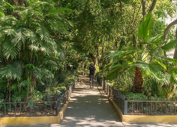 Apartment Condesa Oasis With Sky Pool, Ping Pong, Gym, Steam & Two Private Terraces