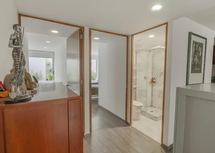 Condesa Oasis With Sky Pool, Ping Pong, Gym, Steam & Two Private Terraces Mexico City