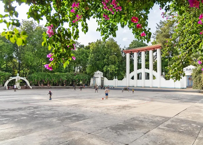 Condesa Oasis With Sky Pool, Ping Pong, Gym, Steam & Two Private Terraces Mexico City